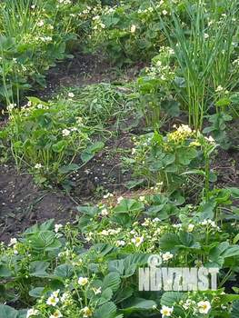 Дом 30м², 2-этажный, участок 6 сот.  