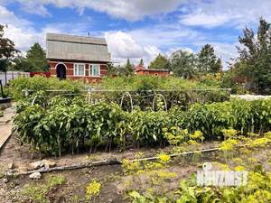 Дом 50м², 2-этажный, участок 10 сот.  