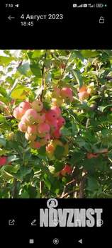 Дом 70м&sup2;, 2-этажный, участок 9 сот.  