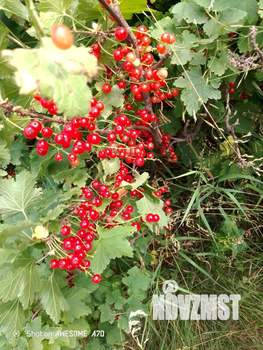 Дом 57м&sup2;, 2-этажный, участок 5 сот.  