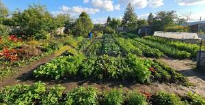 Дом 24м&sup2;, 1-этажный, участок 7 сот.  