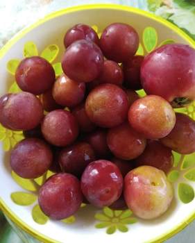 Дом 30м&sup2;, 1-этажный, участок 5 сот.  