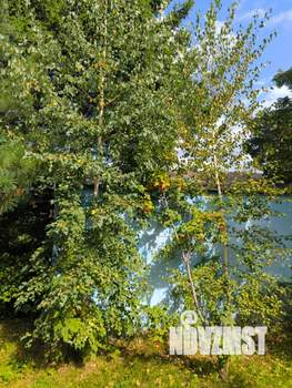 Дом 54м², 2-этажный, участок 9 сот.  