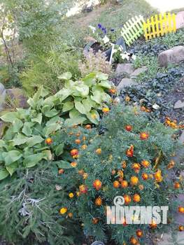 Дом 36м&sup2;, 1-этажный, участок 6 сот.  