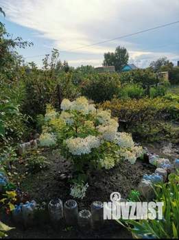 Дом 25м², 1-этажный, участок 480 сот.  