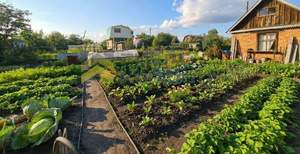 Дом 24м&sup2;, 1-этажный, участок 7 сот.  