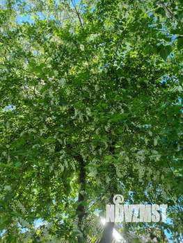 Дом 65м&sup2;, 2-этажный, участок 5 сот.  