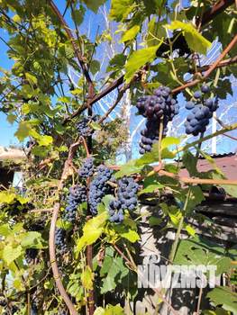 Дом 70м&sup2;, 2-этажный, участок 5 сот.  