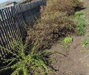 Дом 27м², 2-этажный, участок 6 сот.  