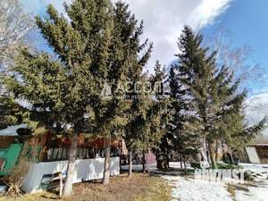 Дача 40м², 1-этажный, участок 11 сот.  