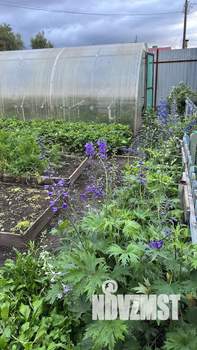 Дом 81м&sup2;, 1-этажный, участок 4 сот.  