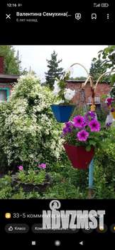 Дом 52м&sup2;, 1-этажный, участок 12 сот.  