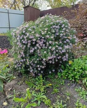 Дом 42м&sup2;, 2-этажный, участок 5 сот.  