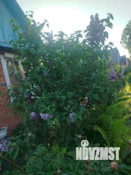 Дом 30м&sup2;, 1-этажный, участок 7 сот.  