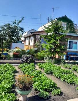 Дача 55м², 2-этажный, участок 4 сот.  