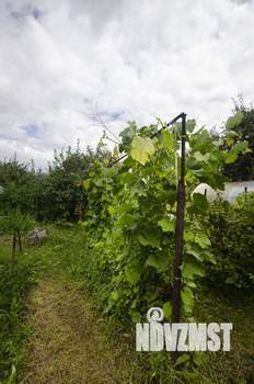 Дом 30м², 1-этажный, участок 6 сот.  