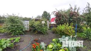 Дом 14м&sup2;, 1-этажный, участок 6 сот.  