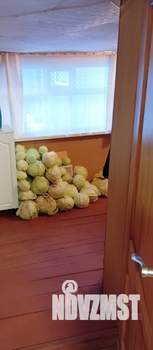 Дом 60м&sup2;, 1-этажный, участок 20 сот.  