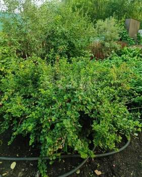 Дом 42м&sup2;, 2-этажный, участок 5 сот.  