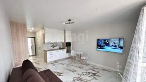 Студия квартира, на длительный срок, 33м2, 13/14 этаж