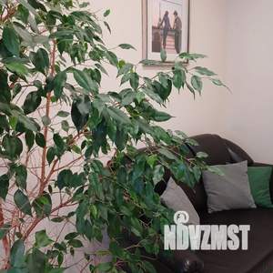 Студия квартира, посуточно, 43м2, 8/10 этаж