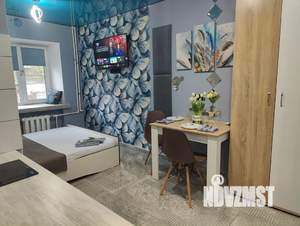 Студия квартира, посуточно, 21м2, 2/5 этаж