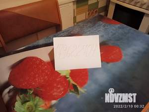 3-к квартира, посуточно, 52м2, 2/5 этаж