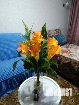 1-к квартира, посуточно, 31м2, 5/5 этаж