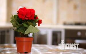 3-к квартира, посуточно, 55м2, 1/1 этаж