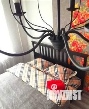 1-к квартира, посуточно, 50м2, 2/5 этаж