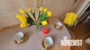 3-к квартира, на длительный срок, 59м2, 4/9 этаж