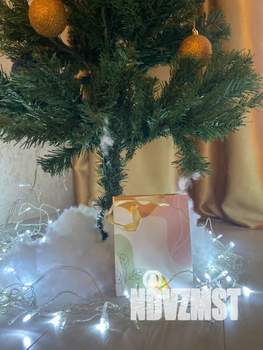 Студия квартира, посуточно, 33м2, 13/14 этаж