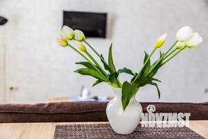 Студия квартира, посуточно, 41м2, 14/15 этаж