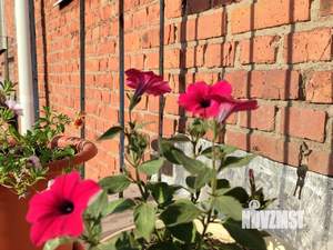 2-к квартира, посуточно, 65м2, 1/1 этаж