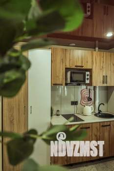Студия квартира, посуточно, 21м2, 2/5 этаж
