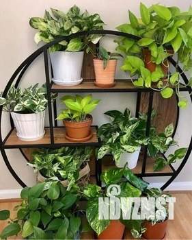 2-к квартира, посуточно, 47м2, 1/1 этаж