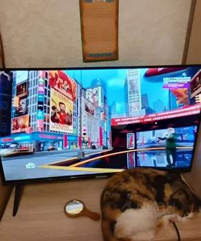 2-к квартира, на длительный срок, 60м2, 5/14 этаж