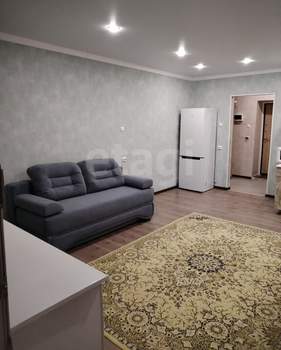 Студия квартира, на длительный срок, 30м2, 7/9 этаж