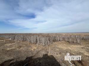 2-к квартира, на длительный срок, 55м2, 9/10 этаж