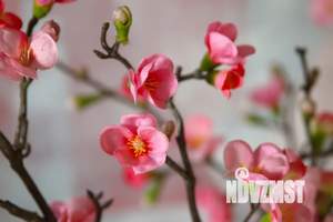 1-к квартира, посуточно, 39м2, 9/17 этаж