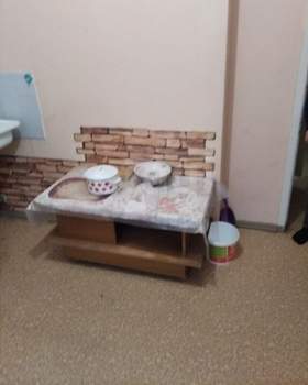 1-к квартира, на длительный срок, 37м2, 2/9 этаж
