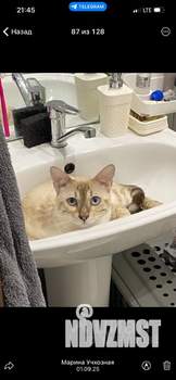 Студия квартира, на длительный срок, 18м2, 1/5 этаж