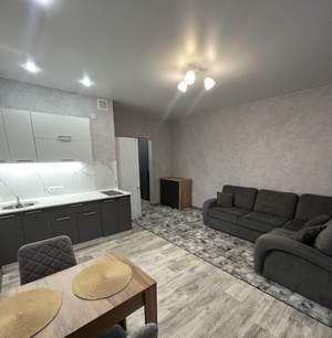 1-к квартира, на длительный срок, 27м2, 4/17 этаж