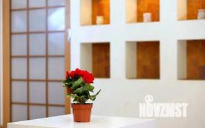 3-к квартира, посуточно, 55м2, 1/1 этаж