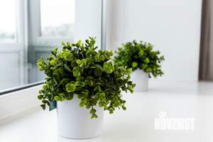 2-к квартира, посуточно, 45м2, 4/6 этаж