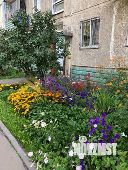 2-к квартира, вторичка, 48м2, 3/5 этаж