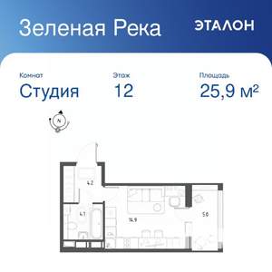 Студия квартира, вторичка, 26м2, 12/12 этаж