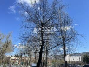 3-к квартира, вторичка, 63м2, 6/9 этаж
