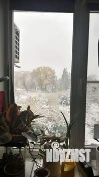 1-к квартира, вторичка, 31м2, 3/5 этаж