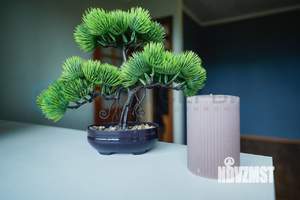 1-к квартира, вторичка, 21м2, 5/5 этаж